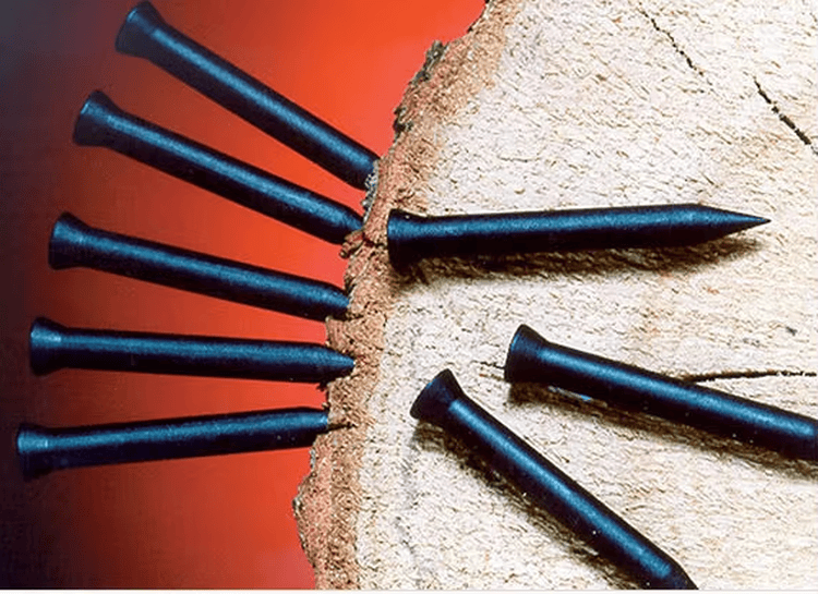 Deze afbeelding toont verschillende zwarte RFID spijkertags die in een dwarssectie van hout worden gedreven om de installatie voor boomtracking te demonstreren.