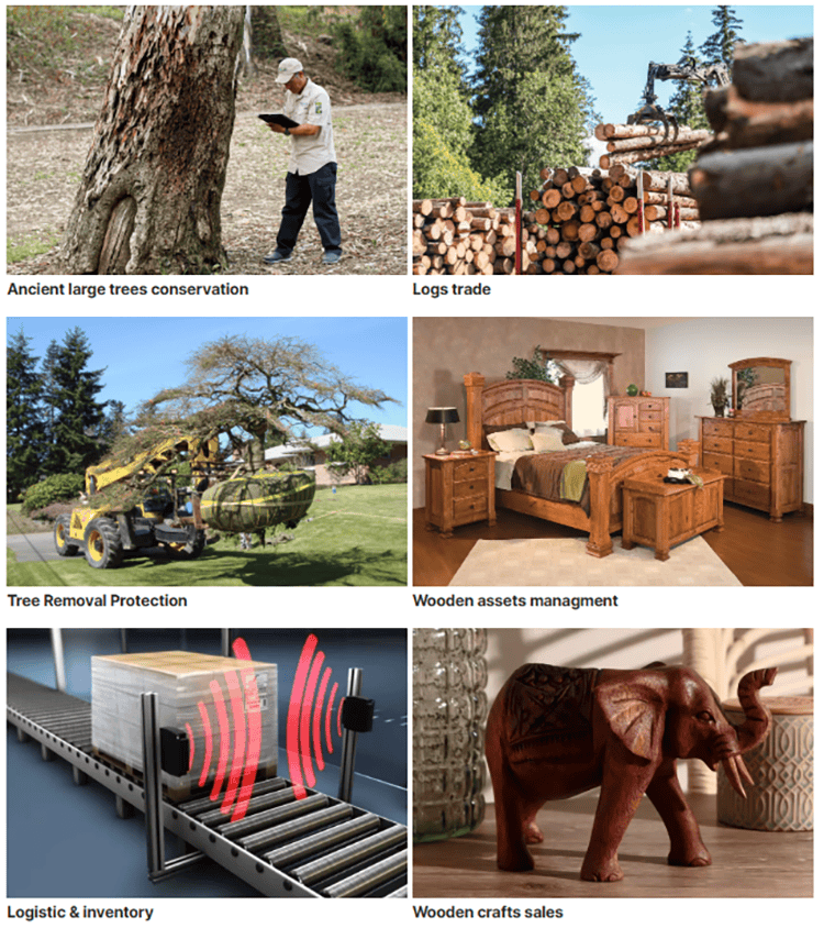 Collage met bosbouw, houtlogistiek, meubelinventarisatie en houten producten als toepassingen voor RFID-houttracking.